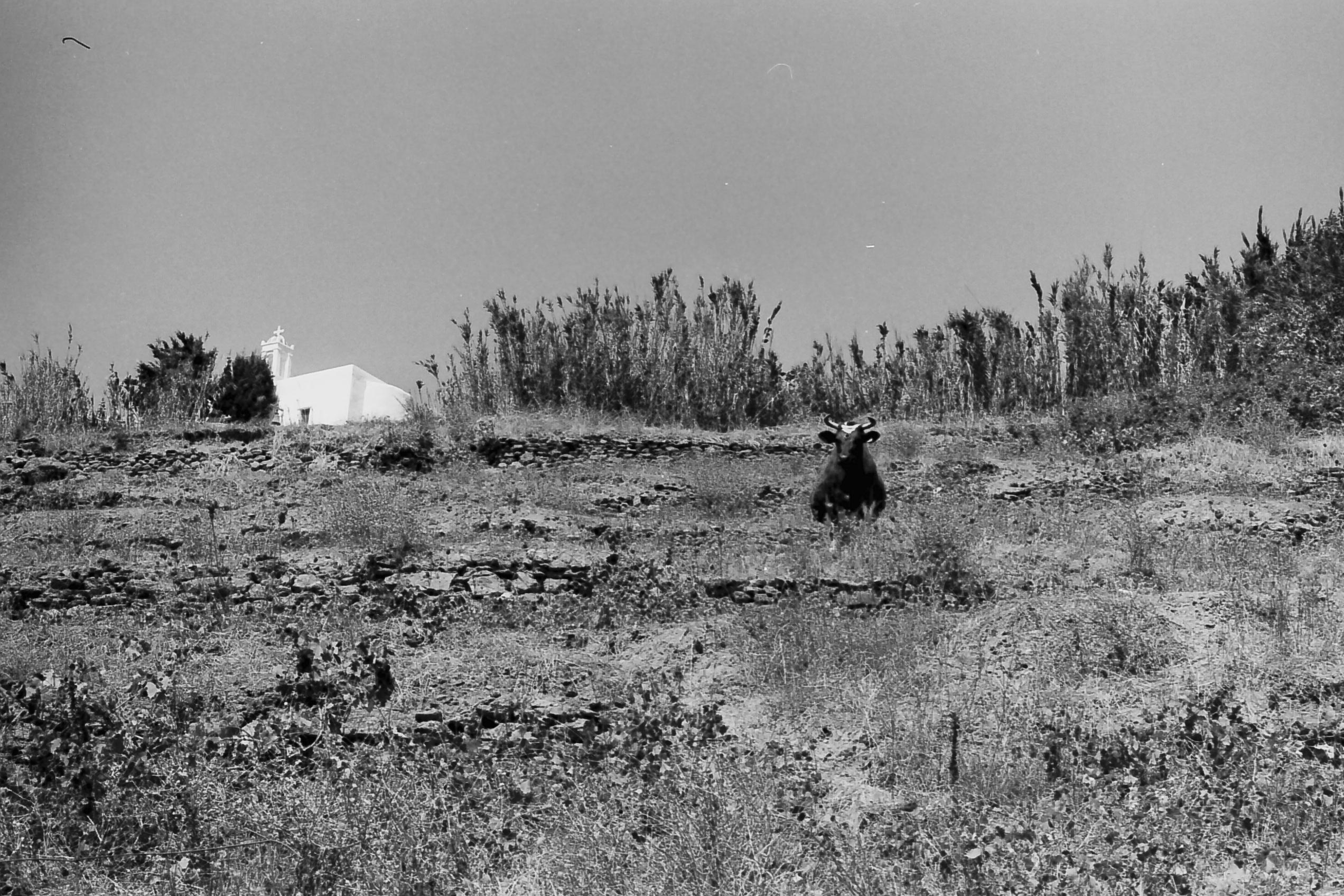 Autosave-File vom d-lab2/3 der AgfaPhoto GmbH